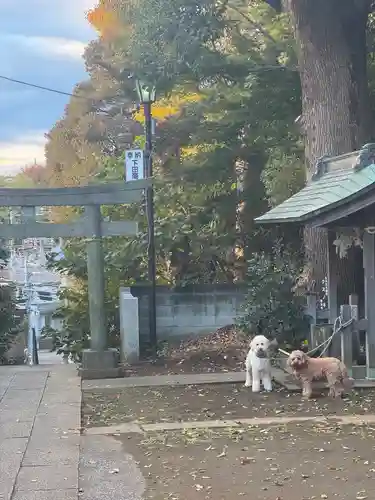 下田神社(神奈川県)