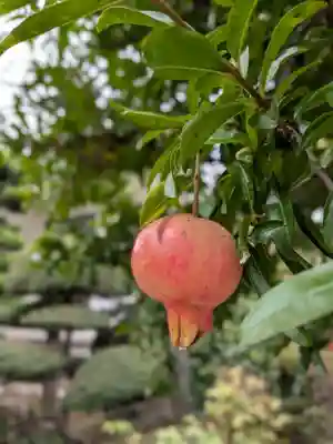 円光院(東京都)