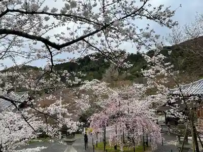清水寺(京都府)