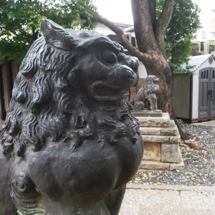 鳩森八幡神社の狛犬
