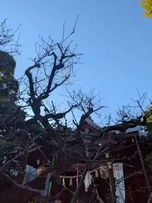 鳩森八幡神社(東京都)