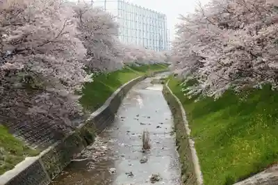 柳澤神社の周辺