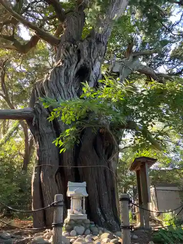 大瀬神社(静岡県)