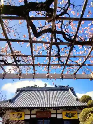 長善寺(東京都)