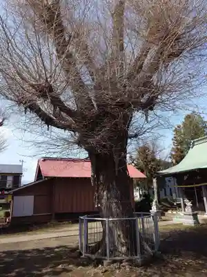 熊野神社(神奈川県)