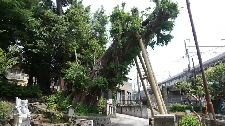 五所神社(神奈川県)