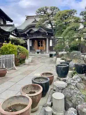 日蓮宗龍口山本龍寺の{uncategorized: "未分類", other: "その他", undefined: "問題あり", building: "その他建物", grave: "お墓", sacred_gate: "鳥居", guardian: "狛犬", statue: "像", buddha: "仏像", history: "歴史", nature: "自然", garden: "庭園", animal: "動物", pagoda: "塔", temizu: "手水舎", mountain_gate: "山門・神門", sanctuary: "本殿・本堂", subordinate: "末社・摂社", art: "芸術", scenery: "景色", jizo: "地蔵", ema: "絵馬", goshuin: "御朱印", omikuji: "おみくじ", items: "授与品その他", amulet: "お守り", goshuincho: "御朱印帳", eats: "食事", festival: "お祭り", votive_dance: "神楽", shichigosan: "七五三参", wedding: "結婚式", experience: "体験その他", initially: "初詣", around: "周辺", anti_infection: "感染症対策"}
