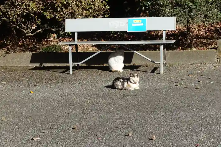 唐澤山神社(栃木県)