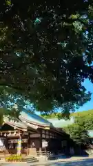 真清田神社の本殿