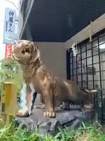 少彦名神社の狛犬