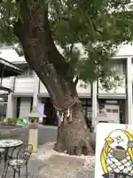 円満院門跡(滋賀県)