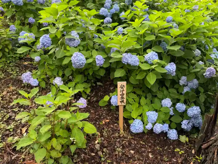 狭山山不動寺(埼玉県)