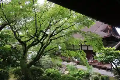 三十三間堂本坊　妙法院門跡(京都府)