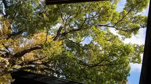 守居神社(大阪府)