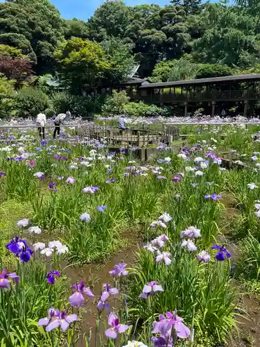 本土寺の景色