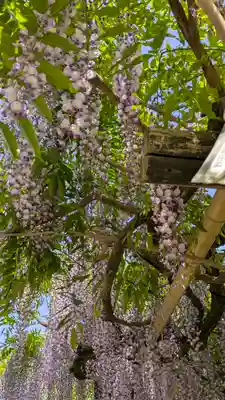 歌泉堂（春日大社神苑萬葉植物園内鎮座）(奈良県)