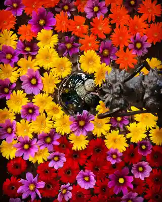 札幌諏訪神社の手水舎