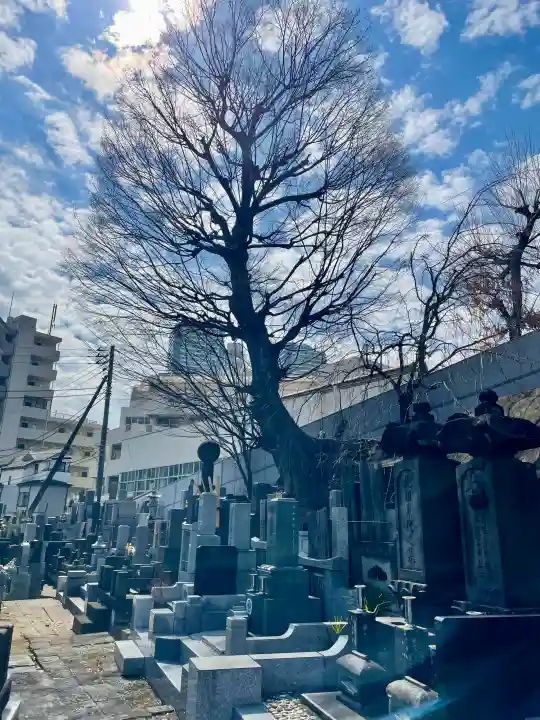 宗興寺の{uncategorized: "未分類", other: "その他", undefined: "問題あり", building: "その他建物", grave: "お墓", sacred_gate: "鳥居", guardian: "狛犬", statue: "像", buddha: "仏像", history: "歴史", nature: "自然", garden: "庭園", animal: "動物", pagoda: "塔", temizu: "手水舎", mountain_gate: "山門・神門", sanctuary: "本殿・本堂", subordinate: "末社・摂社", art: "芸術", scenery: "景色", jizo: "地蔵", ema: "絵馬", goshuin: "御朱印", omikuji: "おみくじ", items: "授与品その他", amulet: "お守り", goshuincho: "御朱印帳", eats: "食事", festival: "お祭り", votive_dance: "神楽", shichigosan: "七五三参", wedding: "結婚式", experience: "体験その他", initially: "初詣", around: "周辺", anti_infection: "感染症対策"}