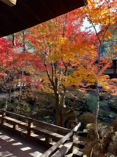 禅林寺（永観堂）(京都府)