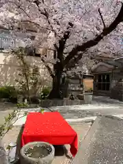 墨染寺（桜寺）(京都府)