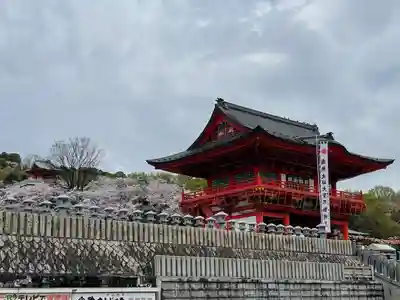 成田山名古屋別院大聖寺(犬山成田山)(愛知県)
