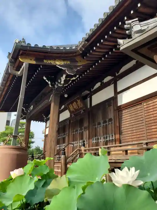 善導寺(福島県)