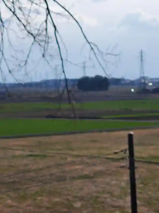 阿夫利神社(藤本観音山古墳)(栃木県)