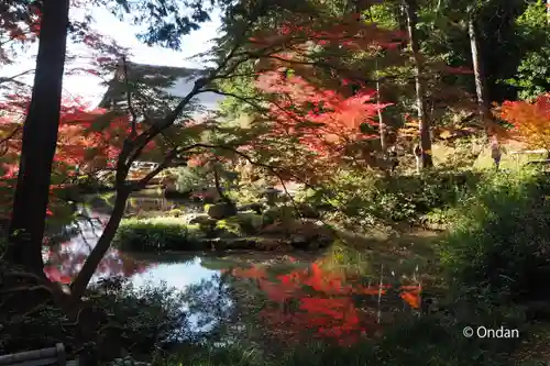 くろ谷 金戒光明寺の庭園