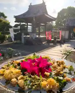 真言宗 善通寺派 薬王寺(香川県)(2024年04月25日(木) 08時55分11秒投稿)