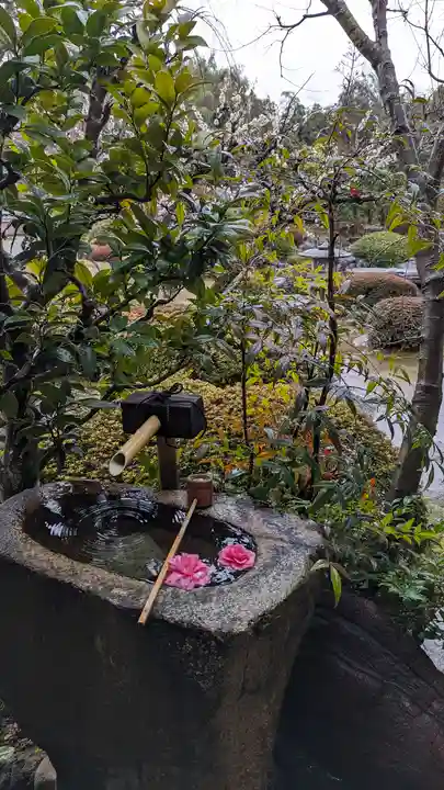 正法寺(京都府)