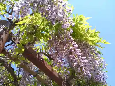 三河別院(愛知県)