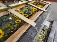 浅草神社の手水舎