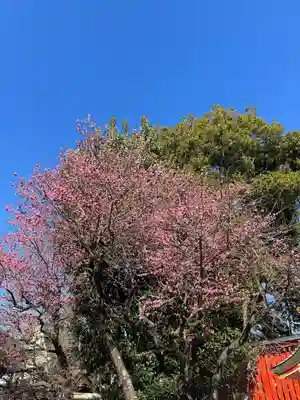 馬橋稲荷神社(東京都)