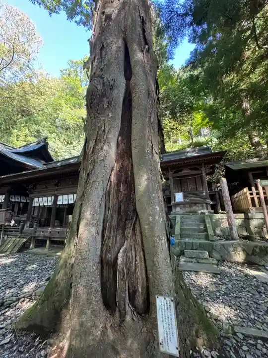 手長神社(長野県)