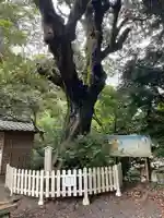 賀茂神社(静岡県)