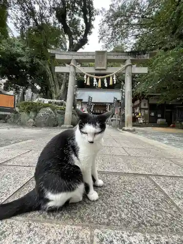 王子神社(徳島県)