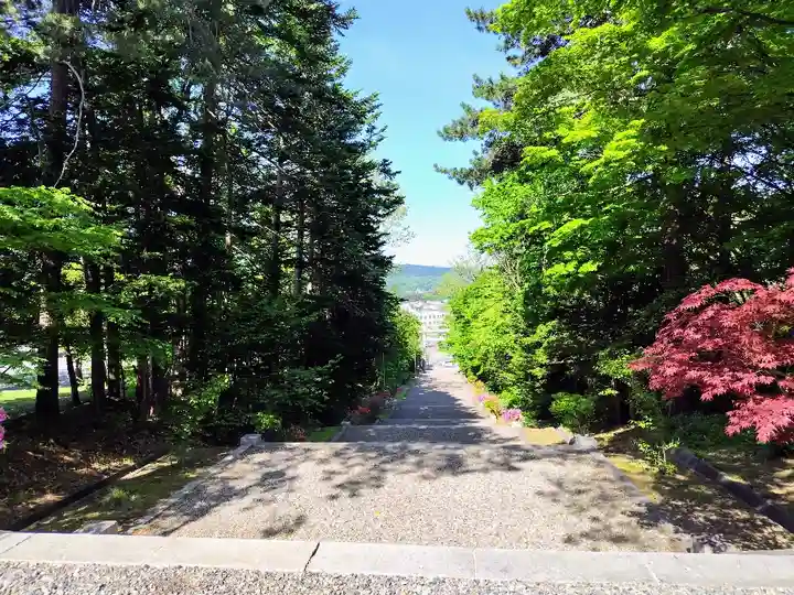 上川神社の景色