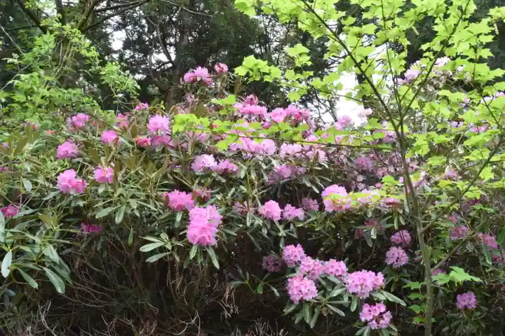 比叡山延暦寺の周辺