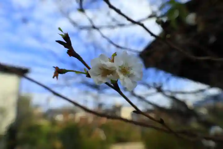 元興寺(奈良県)