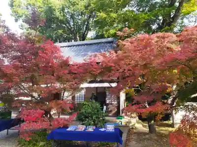 光明寺（粟生光明寺）(京都府)