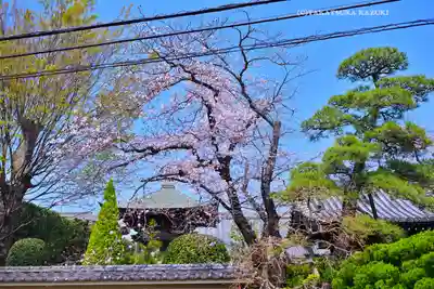 瑞雲寺(神奈川県)