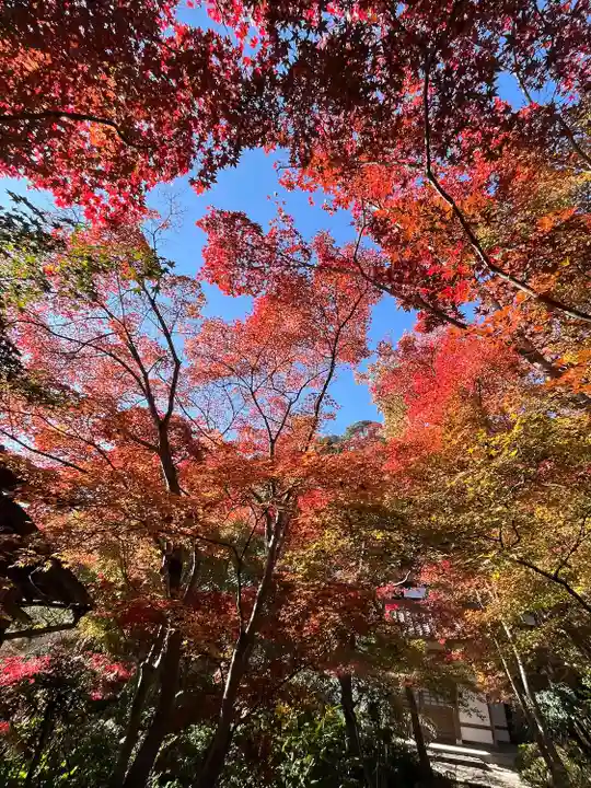善法律寺(京都府)