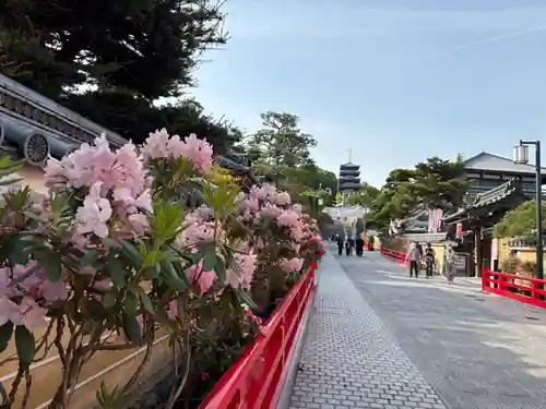 中山寺奥之院(兵庫県)