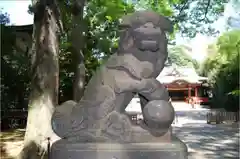 武蔵野八幡宮の狛犬