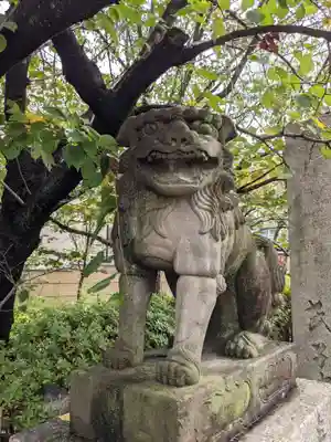 安井金比羅宮の狛犬