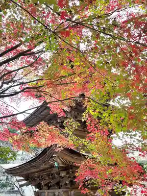 新海三社神社(長野県)