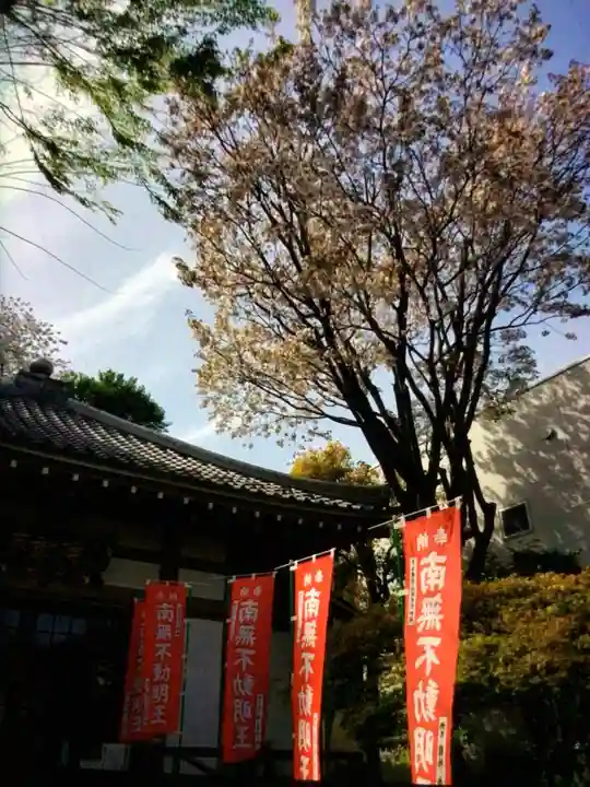 東光寺別院桜ヶ池不動院(東京都)