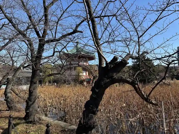 寛永寺不忍池弁天堂の自然