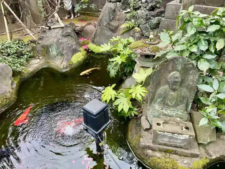 寿永寺の{uncategorized: "未分類", other: "その他", undefined: "問題あり", building: "その他建物", grave: "お墓", sacred_gate: "鳥居", guardian: "狛犬", statue: "像", buddha: "仏像", history: "歴史", nature: "自然", garden: "庭園", animal: "動物", pagoda: "塔", temizu: "手水舎", mountain_gate: "山門・神門", sanctuary: "本殿・本堂", subordinate: "末社・摂社", art: "芸術", scenery: "景色", jizo: "地蔵", ema: "絵馬", goshuin: "御朱印", omikuji: "おみくじ", items: "授与品その他", amulet: "お守り", goshuincho: "御朱印帳", eats: "食事", festival: "お祭り", votive_dance: "神楽", shichigosan: "七五三参", wedding: "結婚式", experience: "体験その他", initially: "初詣", around: "周辺", anti_infection: "感染症対策"}