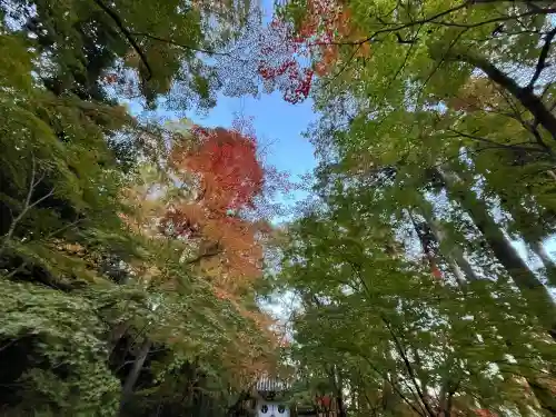 光明寺（粟生光明寺）(京都府)